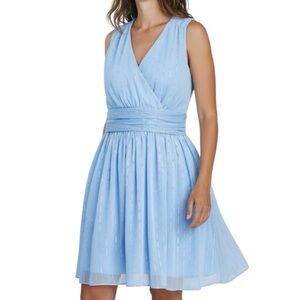NWT AQUA Blue & Silver Lurex Sleeveless V-Neck Lined Mini Dress Size Small
